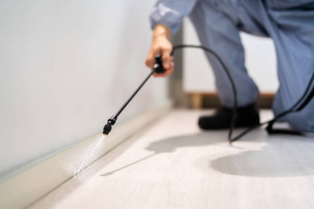 Licensed Termite Control service in Hendron, KY - Nex Pest Control