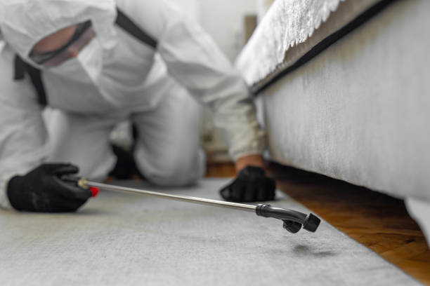 Professional Termite Control technician working in Hendron, KY
