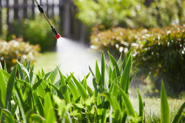 24/7 Emergency Termite Control experts in Hendron, KY