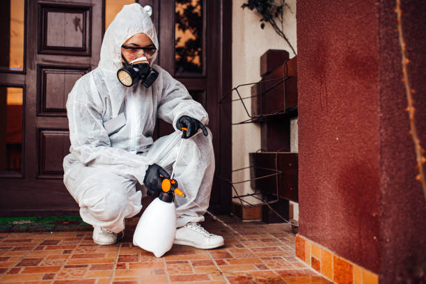 Reliable Termite Control contractor in Hendron, KY by Nex Pest Control